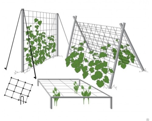 Садовая сетка пластиковая "Кинза" 1 × 10 м, ячейка 30 × 25 мм - фото 7201