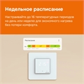 Программируемый Wi-Fi терморегулятор Welrok OZ alt с выносным датчиком, встраиваемый / накладной, 16 А OZ alt